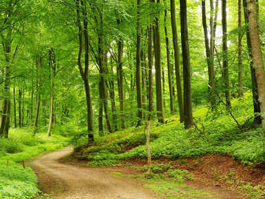 zz omgeving veldenbos
